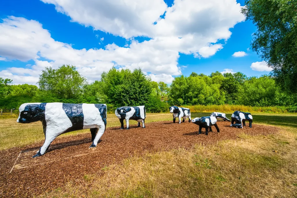 concrete cows